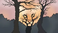 Co vidíte na tomto obrázku? Psychologický test, který ukazuje, jak vnímáte svět.